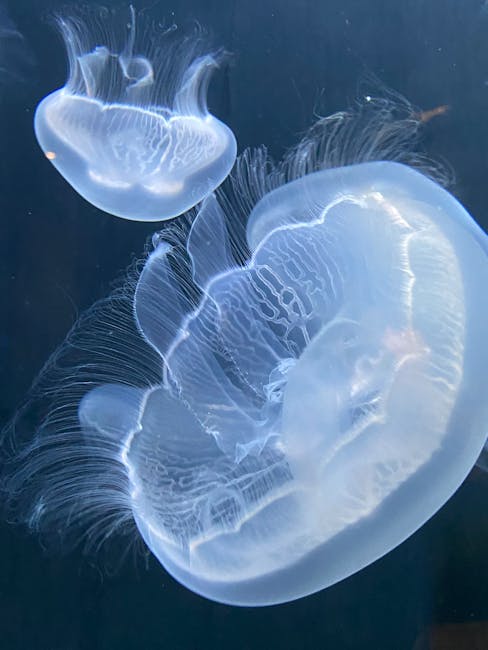 Bitwise, Kripto Fonlarında Şeffaflığı Artırıyor