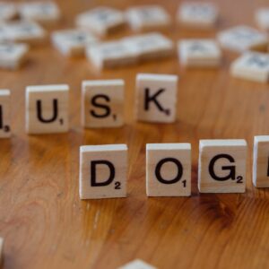 DOGE Fiyatı Yükselişte: Son Gelişmeler ve Analiz