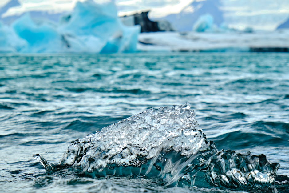 Zooplankton: İklim Değişikliğine Karşı Doğal Müttefik