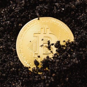 Solo Bitcoin Madenciliği Şansı: 350.000 Dolarlık Kazanç