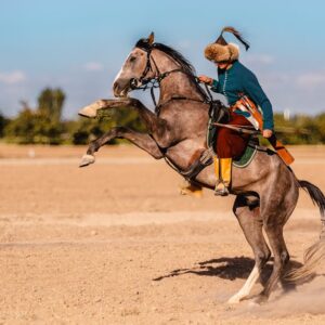 Netflix Assassin’s Creed Dizisi Onaylandı!