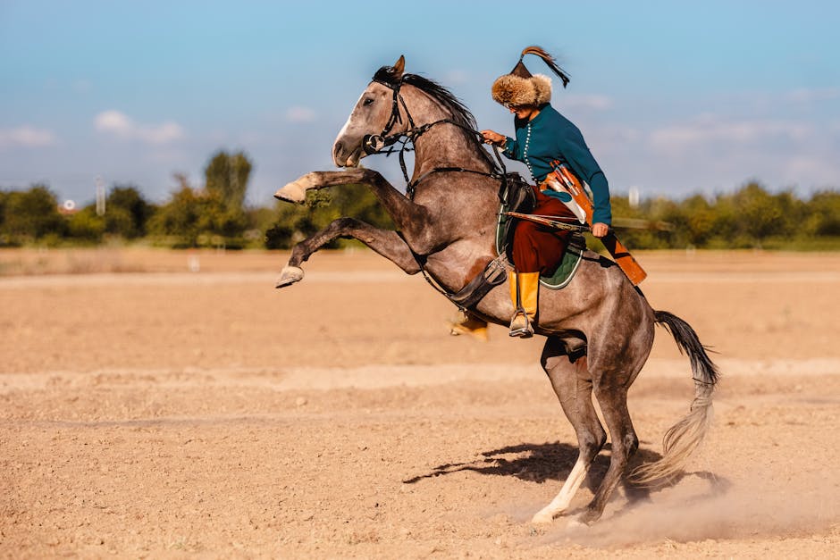 Netflix Assassin's Creed Dizisi Onaylandı!