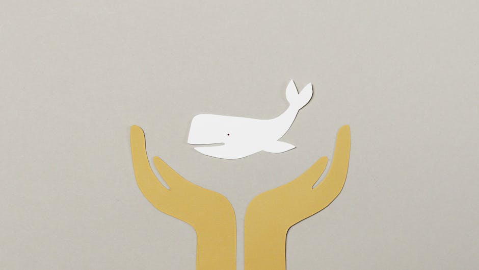 Dogwifhat (WIF) Fiyat Analizi: Teknik Durum ve Beklentiler