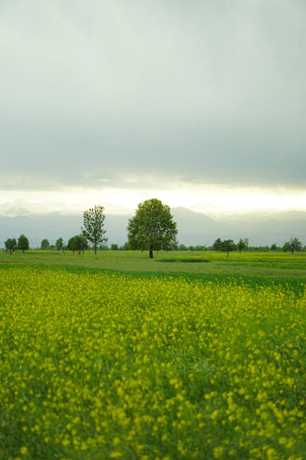 Sony, Tencent'i Horizon Zero Dawn Kopyası Davasıyla Söktü