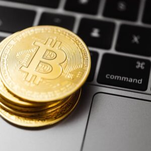 Bitcoin Cash Testi mi? 8.5 Milyar Dolarlık Transferlerden Önce Gizemli BCH Aktarımı