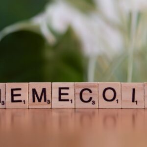 PEPE Token Fiyatı Yükselişte: Son Durum ve Analiz