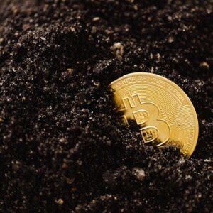 Bitcoin Madenciliği Karlılığı Artışta: Haziran 2024 Raporu