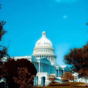 Amerikan Demokrasisi ve Teknoloji: Bir Uyarı