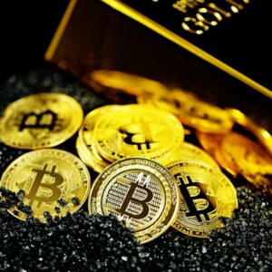 Bitcoin Cash (BCH) Yükselişi: Fiyat Analizi ve On-Chain Veriler