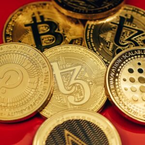 The Smarter Web Company Bitcoin Yatırımını Artırdı: 230.05 BTC Alımı