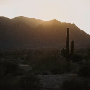 Arizona’da Kripto Varlıklar İçin Yasa Tasarısı Veto Edildi