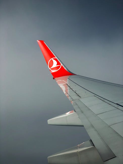 Delta Air Lines Yapay Zeka Fiyatlandırması: Detaylar ve Etkileri