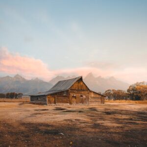 Bitcoin’de Pelasik Duyarlılık Artıyor: Jackson Hole Beklentisi