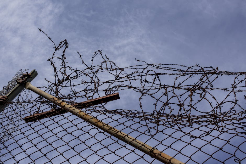 Trump Ailesinin Kripto Faaliyetleri Kripto Düzenlemesini Engelliyor mu?