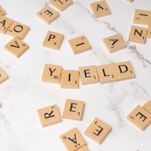 Stabilcoin ve Tokenleştirilmiş Varlıklar: Finansın Geleceği