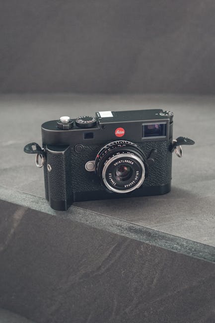 Kripto Para ve Finansın Geleceği: Ripple ve Düzenlemeler