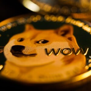 Dogecoin Fiyatı Yükselişte: 0.26 Dolar Hedefi mi?