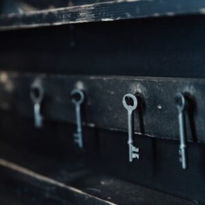 Wyze Palm Lock: Parmak İzine Alternatif Akıllı Kapı Kilidi