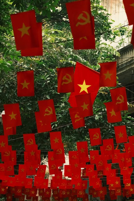 Pokémon ve DHS Tartışması: Telif Hakkı İhlali mi, İfade Özgürlüğü mü?