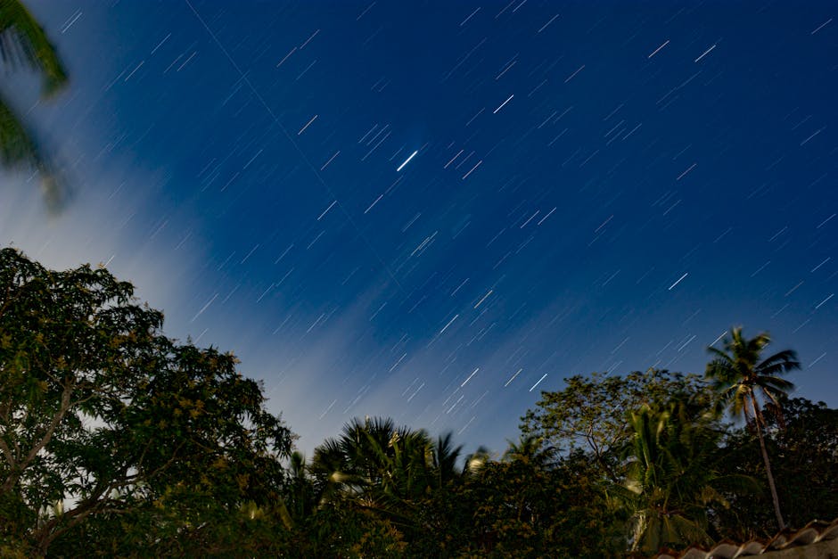 Bitcoin ve Solana Analizi: Trend Hattı ve Ateş Parlatması Uyarısı