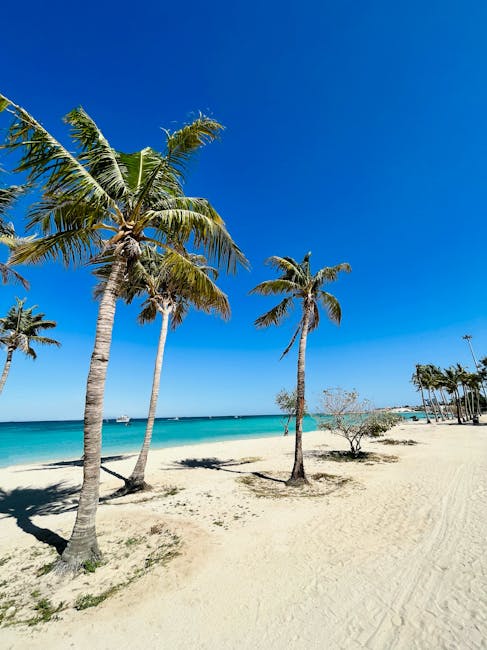 iPhone 17 Etkinliği Değerlendirmesi: iPhone Air ve Pro Karşılaştırması