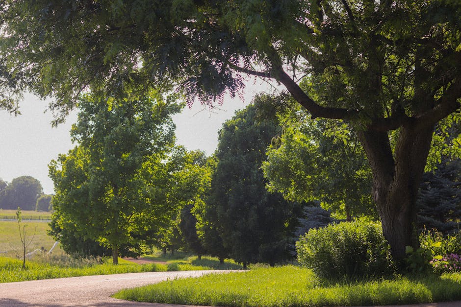 Bowers & Wilkins Px8 S2: Kablosuz Kulaklık İncelemesi ve Özellikleri