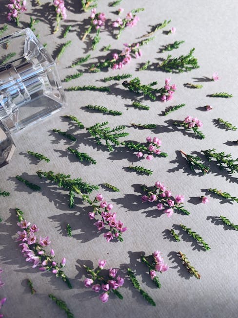 iPhone 17 Duyurusu: Yeni Özellikler, Tasarım ve Fiyatlar