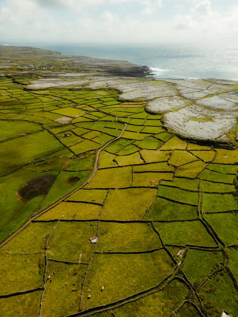 Bitcoin Fiyatı Yükselişte: 120.000 Dolar Hedefi mi?