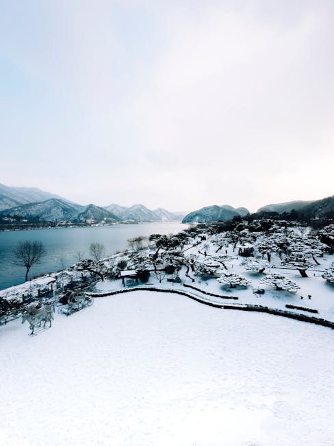 Hyundai Georgia Baskını: ABD-Güney Kore İlişkileri ve Yabancı Yatırımlar