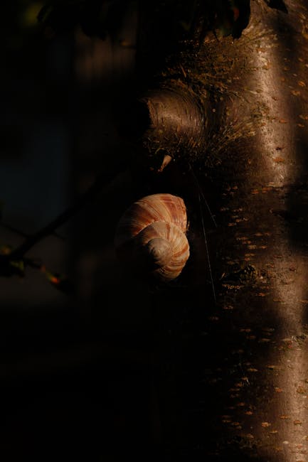 Bitcoin Alımları Yavaşladı: Ağustos Ayı Raporu ve Fiyat Analizi