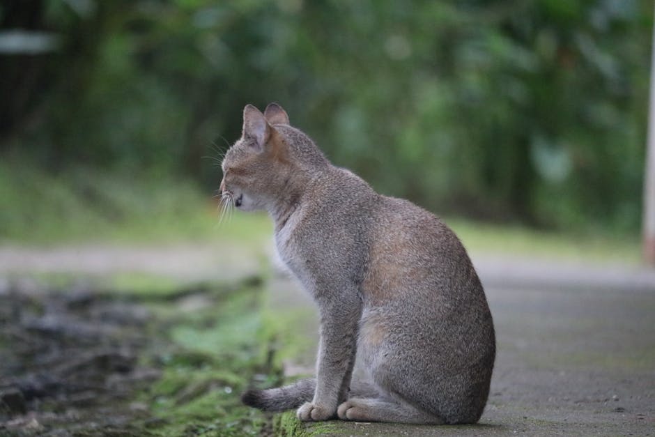 Herdling: Sakinleştirici Oyunla Stresten Kurtulun