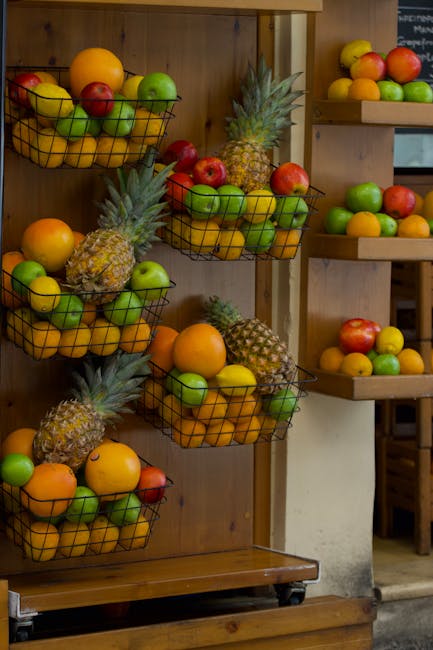 iPhone 17 Serisi Duyuruldu: Özellikler, Fiyat ve Çevre Etkisi