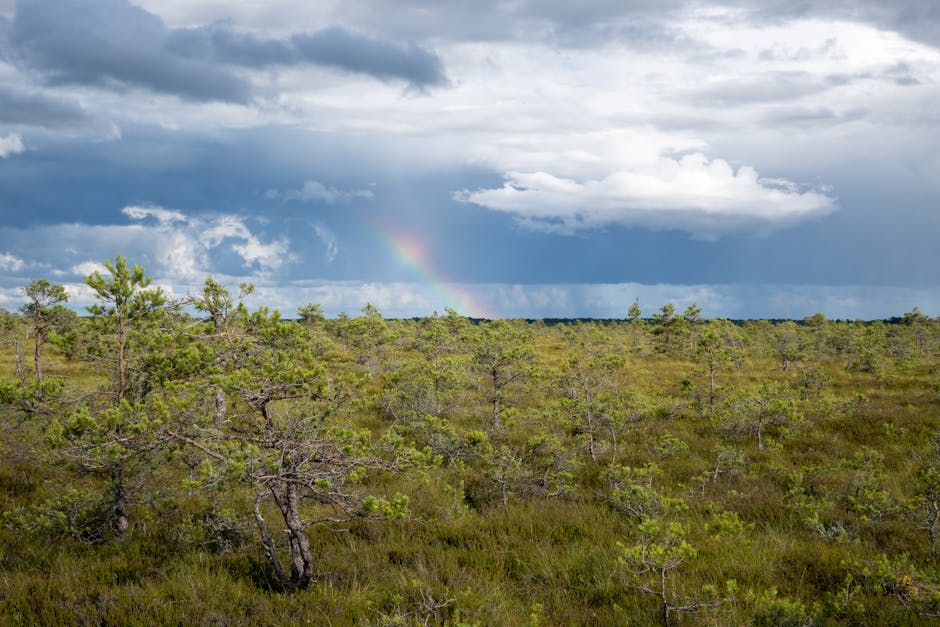 BTG Pactual'dan Kripto Tahminleri: BTC, ETH, SOL, AVAX, SKY