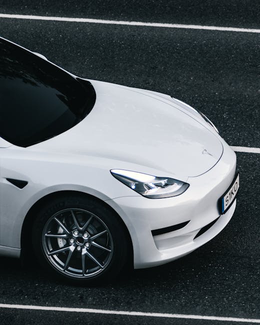 Tesla Standart Modeller Açıklandı: Daha Uygun Fiyatlar, Kısıtlamalar