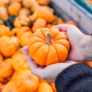 CoinDesk 20 Endeksi Düşüşte: Aave ve Bitcoin Cash’in Performansı