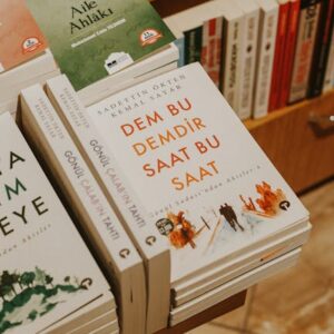 Bitcoin Yükselişi: Arca Analizleri ve Uzun Vadeli Beklentiler