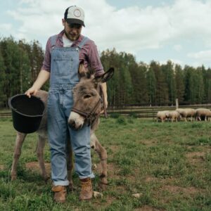 Cult of the Lamb Woolhaven Genişleme Paketi: Hayvan Yetiştirme ve Yeni Mekanikler