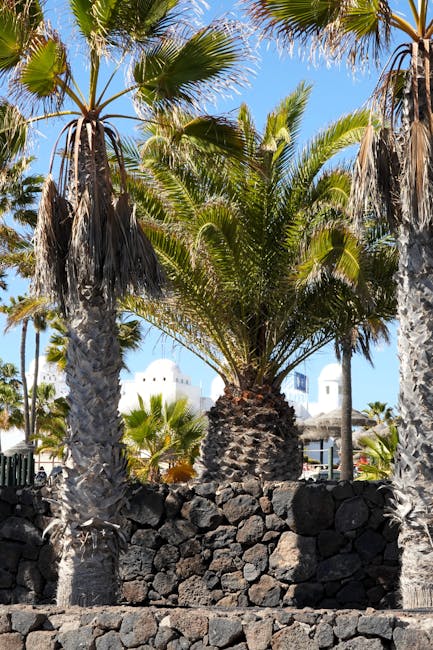 CFTC Başkanı Ataması Geri Çekildi: Kripto Düzenlemede Yeni Gelişmeler