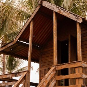 Kraken Halka Arz ve Çalışan Motivasyonu: Bonus ve Tatil Kararı