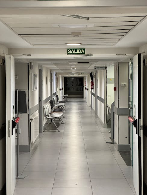 Bitcoin Hazine Şirketleri: Gelecek ve Yatırım Fırsatları