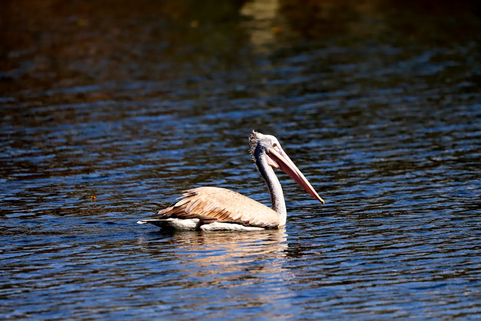 OpenAI Sora: Yapay Zeka ile Video Devrimi ve Geleceği