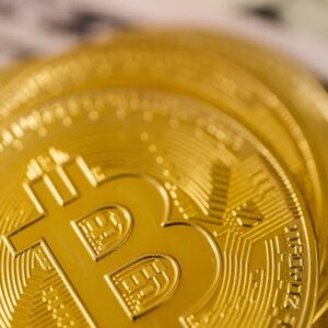 Bitcoin Yatırımcı İlgi Artışı: 1.000 BTC Tutan Varlık Sayısı Yükseldi