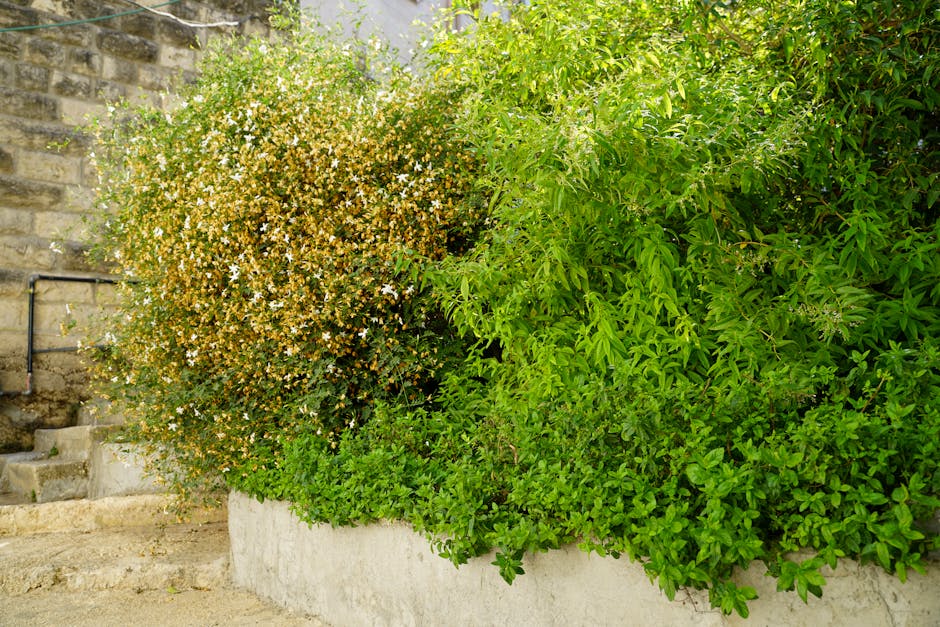 Bitcoin Hazinesi Yönetimi: Aktif Stratejilerle Değer Artırma