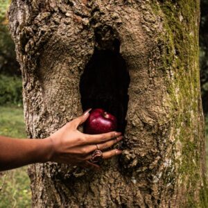 Apple Pluribus: Vince Gilligan’ın Yeni Bilim Kurgu Dizisi