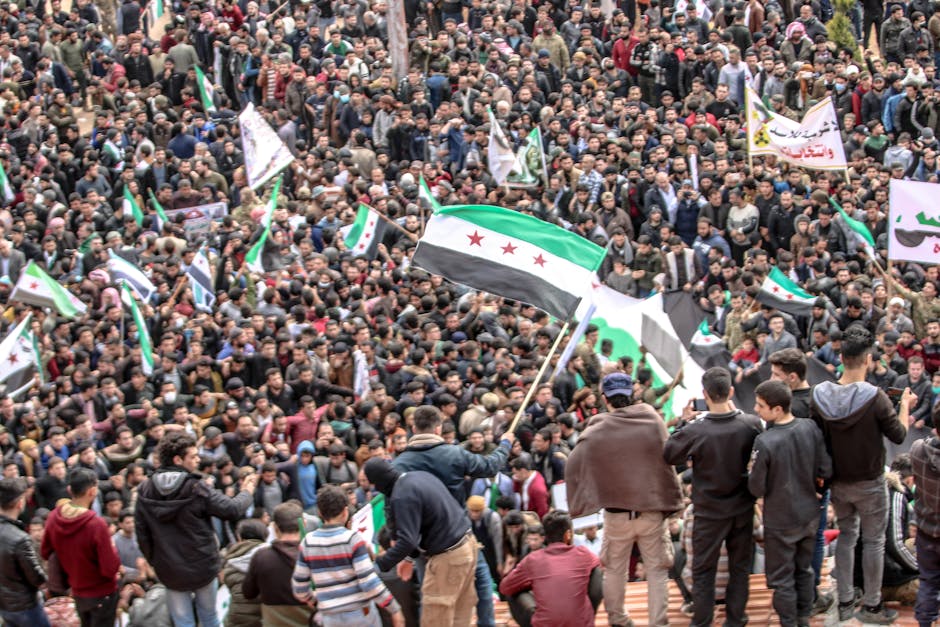 Sims 4 Topluluğu ve İçerik Üreticileri: Gelecek Ne?