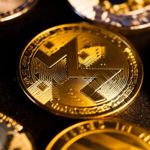 ZEC Rallisi: Zcash Fiyatı ve Gizlilik Trendleri