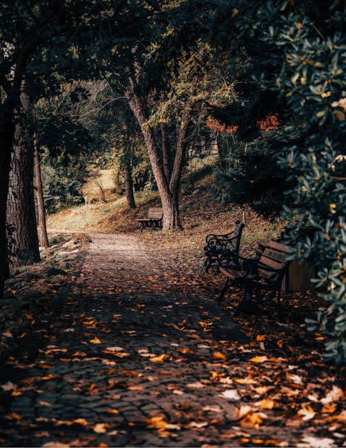 FTX Davası: Adil Yargılanma İddiası Reddedildi, Kripto Piyasası Etkileniyor