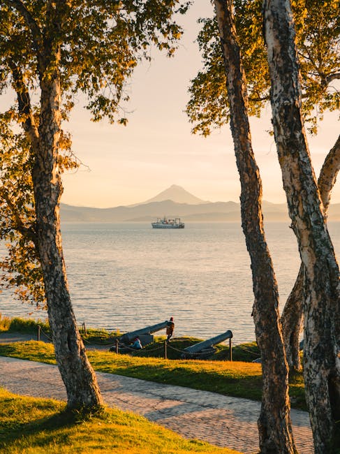 Japon Bitcoin Hazine Şirketleri: Vergi Avantajları ve ABD ile Karşılaştırma