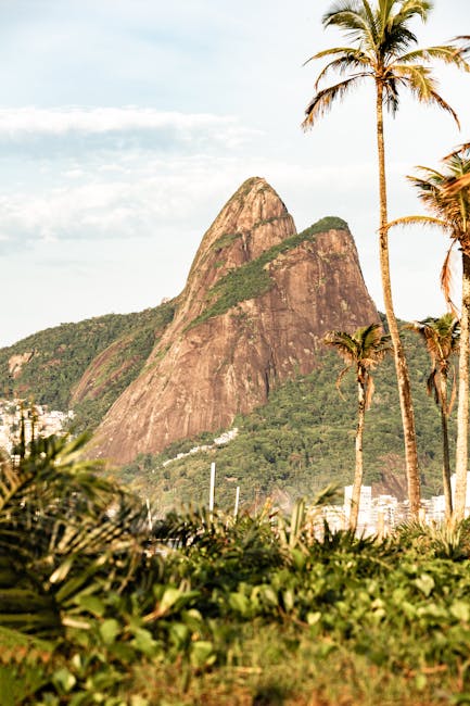 POPCAT Token Manipülasyonu: 4.9 Milyon Dolar Kayıp