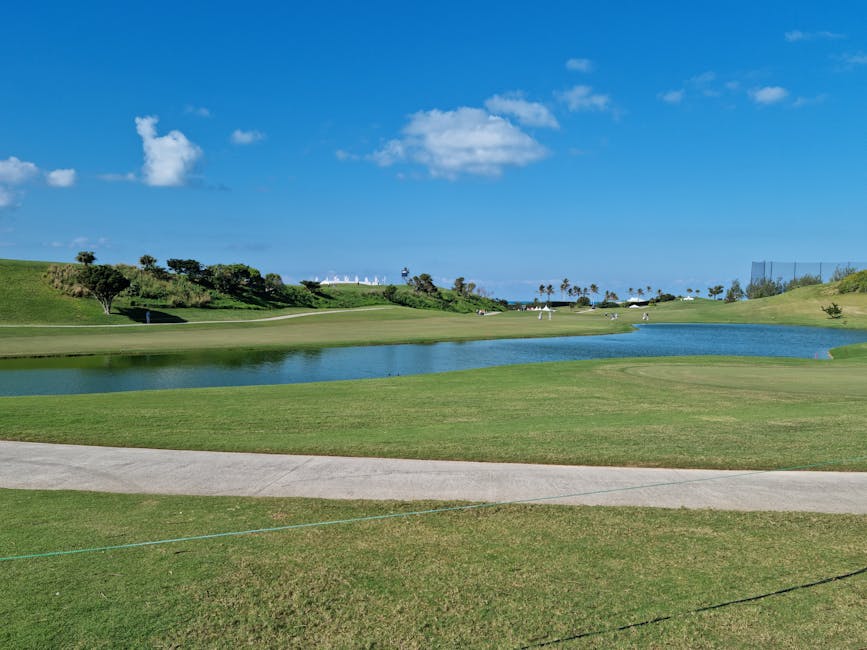 Bitcoin Fiyatı Düşüşte: 91.000 Dolara Gerileme ve Opsiyon Piyasasındaki Değişim